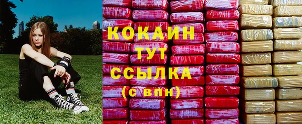 твердый Янаул