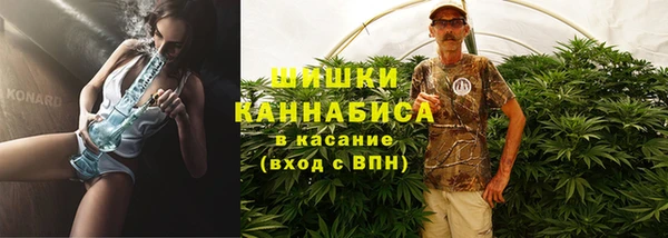 ПСИЛОЦИБИНОВЫЕ ГРИБЫ Краснотурьинск