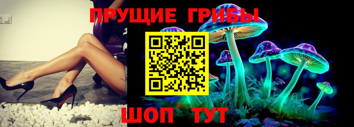 Галлюциногенные грибы GOLDEN TEACHER  Вход с VPN  Липецк 